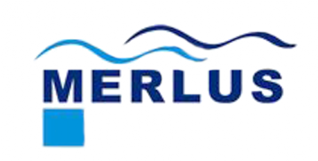 Logo del Grupo Merlus